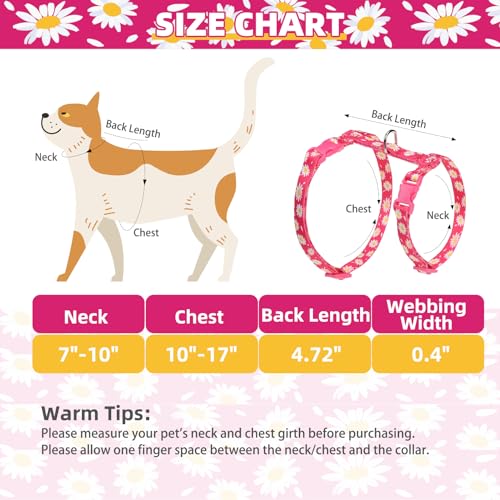 PUPTECK Adjustable Cat Harness and Leash Set Escape Proof Kitten Strap Collar for Walking Travel, Daisy Pattern - color: Fuchsia(Daisy), size: Small