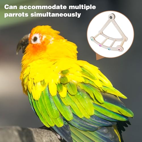 Bird Stand Perch,Interactive Rocking Parakeet Perch, Wooden Exercise Wheel Cockatiel, Parrot Swing,Bird Playground Play Stands for Conure Budgie(A) - color: A