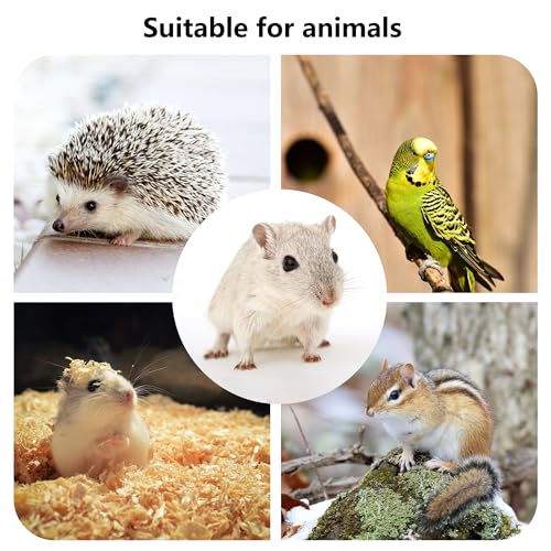 Hamster Wooden Platform with Legs, Small | Small Animal Climbing Ladder, Standing Rat Guinea Perch, Chew Toy, Cage Accessories - color: Platform-Small