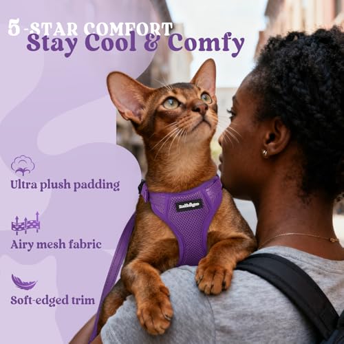 rabbitgoo Cat Harness and Leash, Easy-on with Neck Buckle, Purple | Escape Proof, No Over-the-head, Soft Air Mesh, 3 Lockable Adjusters & Buckles, Reflective, for Kittens & Small Cats Walks, Xs - color: Purple, size: Xs