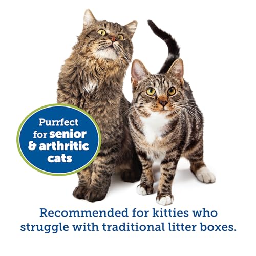 KittyGoHere Senior Cat Litter Box, Small Litter pan, Open Top Low Entrance Kitty Litter Box, Lightweight Low Entry Litters Box, Durable, Made in USA (Misty Gray) - color: Misty Gray, size: Small