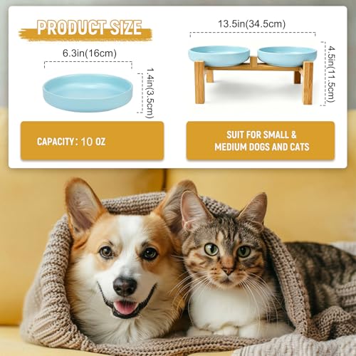 Shallow Elevated Cat Bowls with Bamboo Stand, 6.1 Inch Wide Ceramic Cat Dish Whisker Friendly, 2 Pack Pet Food and Water Plates - color: Sky blue elevated