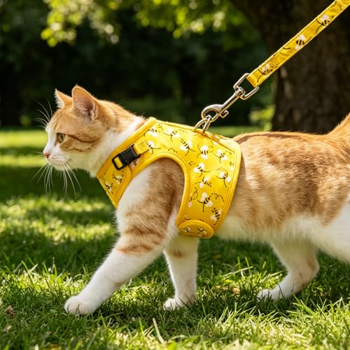 BINGPET Cat Harness and Leash Set, Escape Proof and Adjustable, Small | Step-in Vest, Lightweight Soft Breathable Mesh, Hook & Loop, Easy Control for Kittens & Small Cats Walking Travel - color: Bee, size: Small