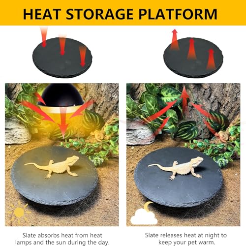 Tfwadmx Reptile Basking Platform,7.8IN Tortoise Rock Slate Plate Feeding Food Bowl Dish Turtle Bathing Resting Terrace for Lizard Bearded Dragon Chameleon Gecko Snake Frog Newt - size: 7.8inch(1pcs)
