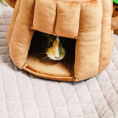 GuineaDad Tree Stump Hidey – Guinea Pig Bed & Hideout | Small Animal Bed & Cozy Guinea Pig House | Plush Tree Stump Hut & Hideaway for Rabbits & Pets (Small)