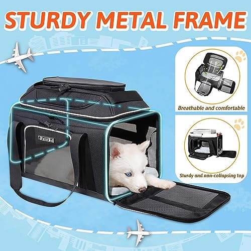 Top-Expandable Small Pet Carrier 17"x12"x8.5" Airline Approved | for JetBlue/Frontier/Spirit Airlines, Lockable Safety Zippers and Anti-Scratch Mesh, Soft-Sided, Pets Under 8 Lbs, Black - color: Black, size: 17.0"L x 12.0"W x 8.5"H