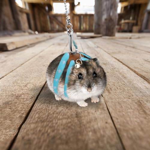 Hypeety Syrian Hamster Leash Harness Set Adjustable Training Walking Lead | Adjustable 3.14-7.07'' chest, 32.60'' lengh, soft nylon leash with finder bells, for hamster/rat/gerbil, easy to put on, blue - color: Nylon Blue 32.7"