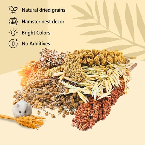 Natural Hamster Flower & Herb Habitat Deocr, Hamster Sprays Herbs Bedding Mate, Hamsters Cage Enrichment Decoration Accessories for Gerbil Dwarf Syrian Hamsters Guinea Pig Mice or Small Animals