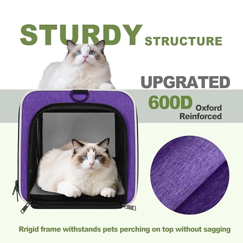GAPZER Pet Carrier for Cat 18x11x11 Inch, Top Load Small Dog Car Ride Crate | 4-Sided-Ventilated Kitten Carry Purse, Soft Portable Pomeranian Cloth Kennel in Cabin, Kitty Taxi Bag FAA Complaint Car Seat - color: Purple