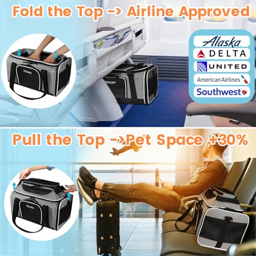 Top-Expandable Small Pet Carrier 17"x11"x9.5" Airline Approved | for Alaska Airlines, Lockable Safety Zippers and Anti-Scratch Mesh, Soft-Sided, Pets Under 10 Lbs, Grey - color: Grey, size: 17.0"L x 11.0"W x 9.5"H
