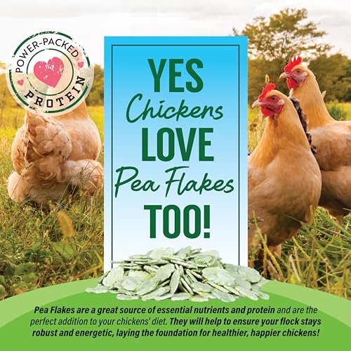 Small Pet Select Pea Flakes Treats for Rabbits & Guinea Pigs, 8 oz | Natural Wholesome Snack, High Fiber, For Bunnies, Hamsters, Chickens, Chinchillas & Small Pets - size: 8 Ounce (Pack of 1)