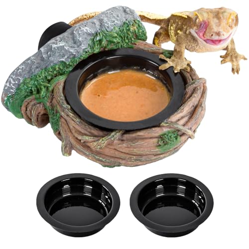 REPTI ZOO Magnetic Reptile Feeding Ledge, Gecko Feeder Ledge with 2PCS Cups, Hollow Vine Food Dish, Reptile Water Bowl for Bearded Dragon Lizard Snake, Terrarium Tank Accessories - size: Magnetic- Single Feeder
