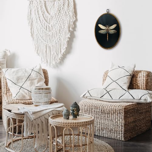shiviody Vintage Dragonfly Canvas Wall Art Decor, Dark Moody Dragonfly Wall Art, Retro Aesthetic Insect Oval Hanging Frame Prints Decorations for Bedroom Living Room Office 8.6"x11.4" - color: Animals-9