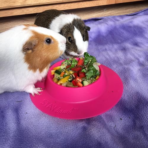 Tip-Proof Bowl for Guinea Pigs and Other Small Pets - Fuchsia (Pink) - Large 3/4 Cup Size New