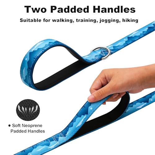 6ft Dog Leash with Two Padded Handles, Heavy Duty Strong Nylon Pet Leash with Soft Neoprene Handle for Medium and Large Dogs, Blue Sunset - color: Blue Sunset, size: 1 in x 6 ft