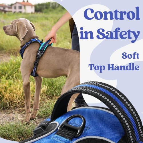 rabbitgoo Dog Harness Medium Sized, Updated Easy On & Off with 3 Buckles | No Pull No Choke, Walking with 2 Clips and Handle, Adjustable Soft Reflective, Blue, Medium - color: Blue, size: Medium