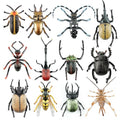 Toymany 12PCS Realistic Insects Figurines Toys - Plastic Bugs Figures Set with Cricket Bee Ant Dung Beetle, Educational Toy Cake Toppers Christmas Birthday Gift for Toddlers Kids - style: Insects-1