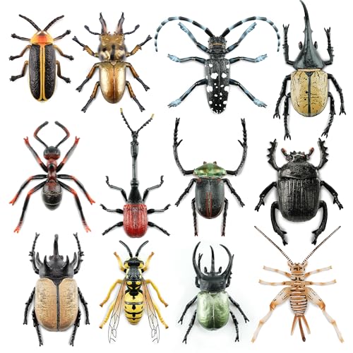 Toymany 12PCS Realistic Insects Figurines Toys - Plastic Bugs Figures Set with Cricket Bee Ant Dung Beetle, Educational Toy Cake Toppers Christmas Birthday Gift for Toddlers Kids - style: Insects-1
