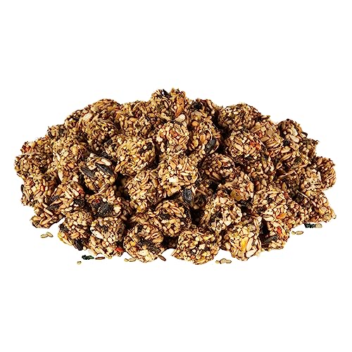 Kaytee Granola Bites with Superfoods Spinach and Carrot for Rats, Mice, Hamsters, Gerbils, Rabbits, Guinea Pigs and Chinchillas, 4.5oz - size: 4.5 Ounce (Pack of 1), style: Spinach & Carrot
