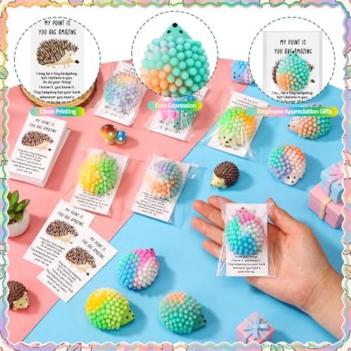 HyDren 60 Set Inspirational Hedgehog Stress Ball Gift Bulk Postive Cards | Back to School Gifts, Squeeze Stress Relief Ball, Motivational Card, Fidget Toys for Coworker, Adult, Employee Appreciation - style: Hedgehog