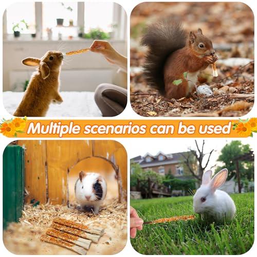 Apple Sticks for Rabbits, Natural Bunny Chew Toys Wood Treats Food for Small Animals,Hamsters, Chinchillas Squirrel Bunny Guinea Pigs Small Pet Apple Chew Sticks