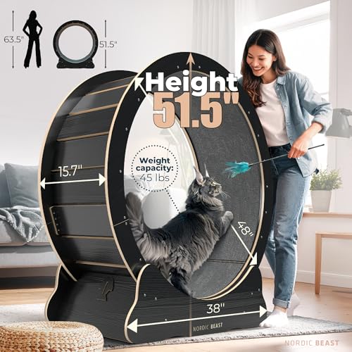 48'' XL Cat Wheel – Safe, Quiet & Stable Exercise Wheel for Large Indoor Cats up to 45 lbs – 15.7'' Extra-Wide Surface Fits 2 Cats Side by Side & Prevents Wobbling, 1-Year Warranty - color: Black