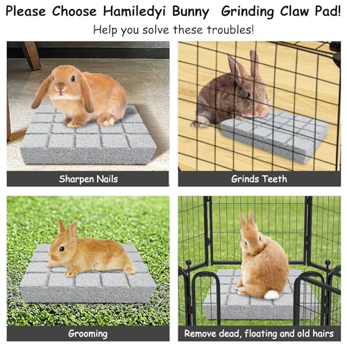 Hamiledyi 2PCS Rabbit Scratching Pads Bunny Lava Grinding Claw Pads Small Animal Foot Pads Hamster Scratch Board Chew Toys for Gerbil Chinchilla Hedgehog Guinea Pig Cage Accessories