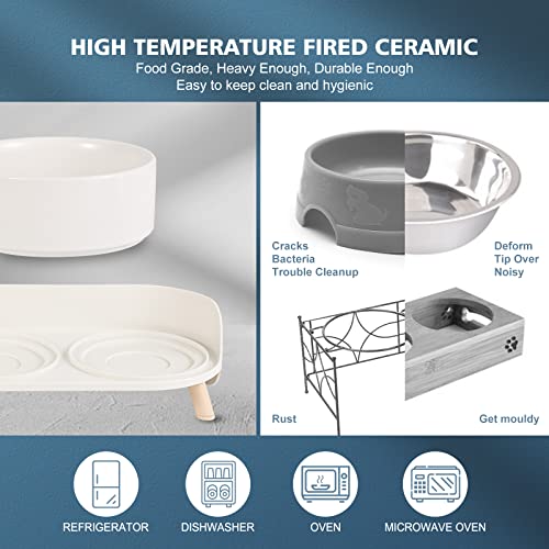 Elevated Ceramic Dog Bowl Set - Double Dog Feeding Bowls with Stand Splash Proof - Raised Dishes for Food and Water - Ideal for Small to Medium Dogs - 2 x 720 ml - 11.3 oz - White - color: White, size: Medium