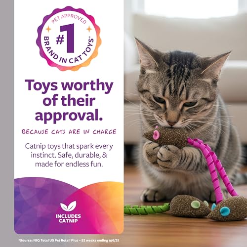 SmartyKat Magic Mice Compressed Catnip and Ribbon Cat Toys, Mess-Free for Hunting & Batting Fun for Cats & Kittens, Set of 3 - style: Magic Mice