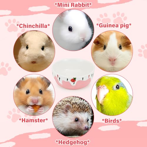 3.4oz Small Animal Food Bowl, Heavy Anti-Tipping Ceramic Pet Bowls with Strawberry Pattern, Hamster Water Bowl for Gerbils/Guinea Pigs/Reptile/Bird, Easy to Clean Hamster Food Bowl (Pink, A) - color: Pink