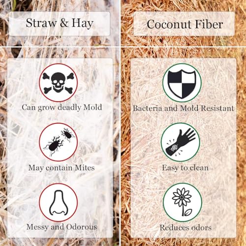 SunGrow Coco Fiber Hermit Crab & Reptile Carpet, Gecko Terrarium Liner, and Floor Bedding Substrate & Supplies, Climbing Wall Carpet & Mat for Hermit Crabs, 10" x 13", 1 Piece Per Pack