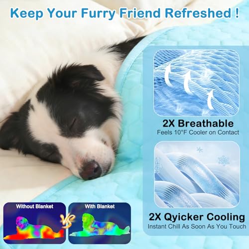 Vivifying Cooling Mat for Dogs, 40" x 30" Waterproof Reversible Dog Cooling Mat with Ice Silk, Thick & Durable Summer Blanket for Sofa, Bed, Crate, Car Seat (Blue) - size: X-Large