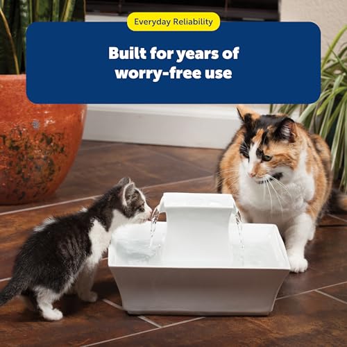 PetSafe Drinkwell Dog and Cat Water Fountain Cleaning Kit, 3 Brushes, Blue, 1 3/8', 1 5/8', 2' brushes (535855) | 3-Brush Set, Plastic-Wrapped Steel Shafts Resist Rust, Flared Sponge Tip for Deep Cleaning, Fits All Drinkwell Fountains