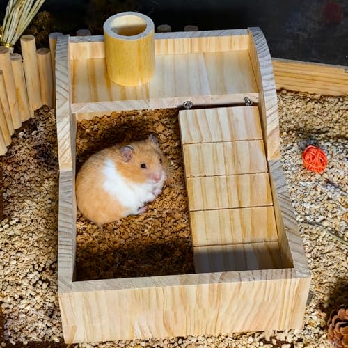 Hamster Sand Bath Container Gerbil Sand Digging Box Small Animal Shower Bathtub with Climbing Ladder Cage Accessories for Mice Rat Syrian Dwarf Hamster