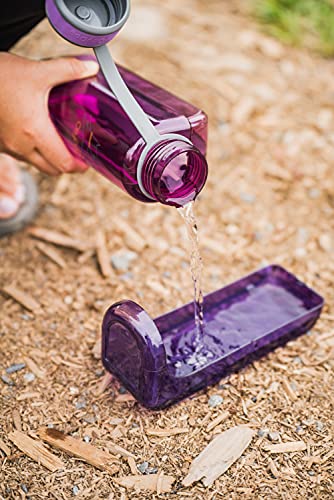 OllyDog OllyBottle | Tritan Dog Water Bottle with Detachable Bowl | BPA Free Leakproof Pet Dispenser | Hiking Travel (600ml, Plum) - color: Plum, size: 600ML