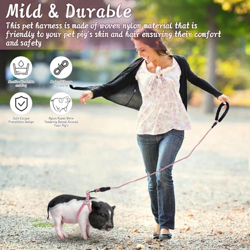 YeeBeny Mini Pig Harness Adjustable with Leash Foam Handle Pink, XL | Adjustable Small Pig Harness with Leash Infinity Style Lead and Soft Foam Handle for Walking Training Jogging - color: Pink, size: XL