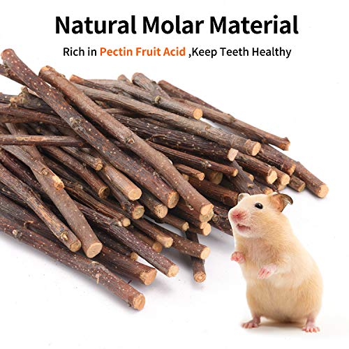Natural Apple Sticks, 100g Treats Food for Small Animals, Chew Toys for Chinchilla Guinea Pigs Rabbit Squirrel Hamster Bunny (100g) - size: 100g
