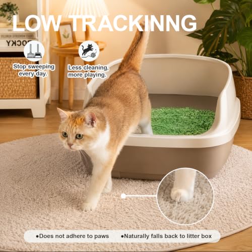 Tofu Cat Litter – Green Tea Scented for Long-Lasting Freshness, Plant-Based Kitty Litter, Flushable, Low Dust, Non-Stick Pellets for Easy Scoop & Clean, 5.5 lb - size: 5.5lb x 1 bag