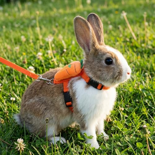 3PCS Adjustable Bunny Rabbit Harness and Leash Set, Small Pet Cute Vest Harness Leash with Decoration, Guinea Pig Harnesses for Ferret, Kitten, Puppy, Rat, Squirrel (Strawberry, Carrot, Pineapple)