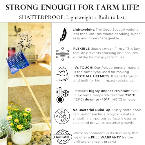 The Coop Scoop® Original 2-in-1 Chicken Poop Scooper & Rake | Made in The USA, Patented, Durable Sand Sifting Litter Shovel, For Chicken Coops & Small Farm Animals - size: Versatile SHELF/GROUND (original) | 36" Handle