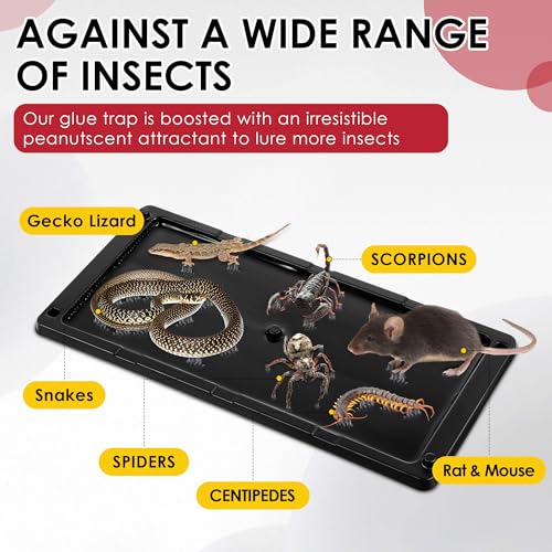 Qualirey 48 Pack Rat Glue Traps 10x5 Inch, Pre-Baited Heavy Duty Mouse Sticky Traps for Mice Snakes Roaches, Large Adhesive Glue Boards with Peanut Scent, No Touch Disposal, Indoor Outdoor (Black) | Catches Mice Snakes Roaches Scorpions Insects, Peanut Sc