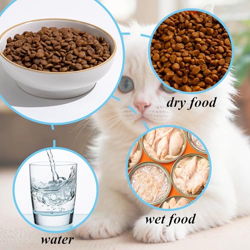 Cat Bowl, Ceramic Small Pet Bowl Pack of 3, Dishwash Safe Pet Food and Water Bowl Dishes for Small Dog, Fat Faced Cat, Kitten, Rabbits Puppy Birds(Safe Food-Grade Ceramic), White - color: White