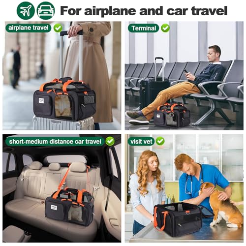 pidipiti 17x13x8 Soft-Sided pet Carrier,for 1 Extra-Small Dog/Small cat | top Expandable,TSA Approved,for Frontier Allegiant Breeze Airlines ,with 2 pockets,zipper lock,leakproof,good Visibility - size: 17.0"L x 13.0"W x 8.0"H