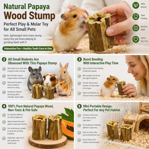 Natural Dried Papaya Block Chew Toys, 8 Pcs Organic Papaya Stump Molar Treats, Healthy Teeth Grinding Chews for Rabbits, Guinea Pigs, Chinchillas, Hamsters, Small Animal Foraging Snack