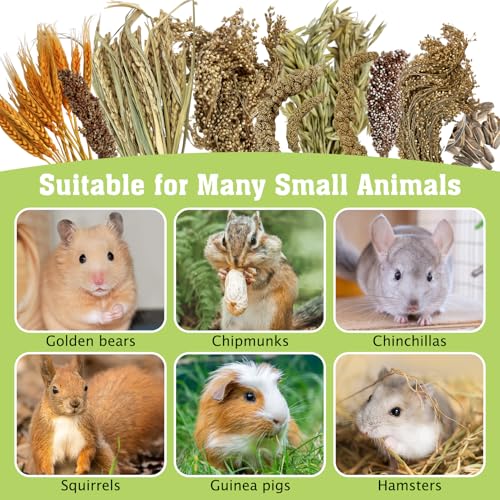 Tfwadmx Hamster Ladder Bridge & Small Animal Natural Ear of Grain Spray Hamster Bedding Habitat Decor Flexible Bendy Hamster Climbing Toy for Dwarf Syrian Mice Gerbils - size: 21.7 x 3.5 inches
