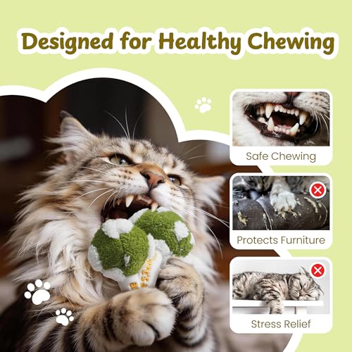 5 Pack Catnip Toys, Cat Toys with Catnip & Silvervine, Colorful Mushroom Kitten Teething & Cat Chew Toys with Different Textures, Funny Cat Kicking Toys for Indoor Cats - color: Mushroom