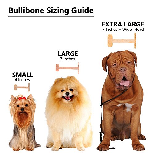 Bullibone Nylon Dog Chew Toy for Aggressive Chewers - Dental Hygiene Bone with Bacon Flavor, Durable Tough Chew Toys for Small Dogs, Indestructible Dog Bone - 3 Pack - size: Small - 3 Pack