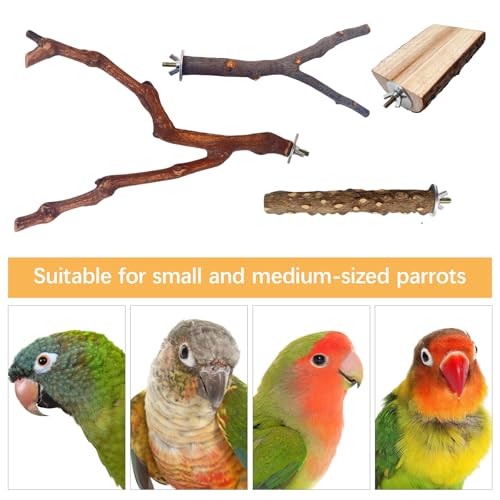 5PCS Bird Perch Stand, Bird Perch Stand Natural Wood Standing | Birds Cage Accessories,Natural Wood Pole Standing Paw Grinding Fork, Suitable for Most Birds, Such as Lovebirds, Parrots - color: Wood