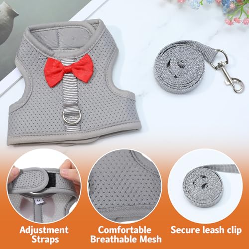 Bunny Harness and Leash Set, Soft Breathable Mesh Rabbit Leash Vest with Safety Buckles, Lightweight Escape-Proof Walking Gear for Rabbits, Kittens, Ferrets, Guinea Pigs, Grey M - color: Grey