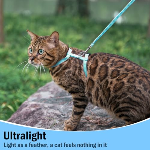 PUPTECK Adjustable Cat Harness and Leash Set Escape Proof Kitten Strap Collar for Walking Travel, SkyBlue - color: Sky Blue, size: Small